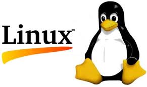 Операционная система Linux            